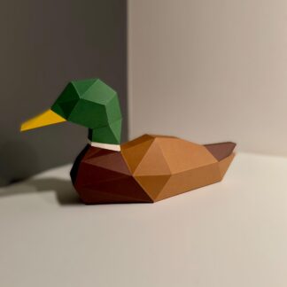 3D Eenden Familie