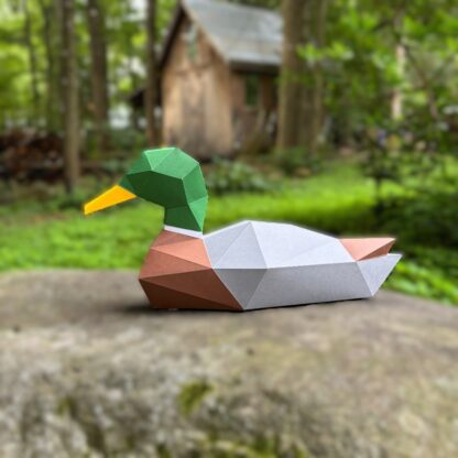 3D Eenden Familie - Afbeelding 6