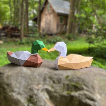 3D Eenden Familie - Afbeelding 3