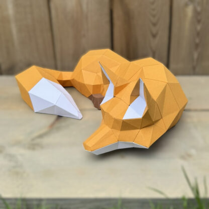 Slapende Vos (35-50 cm) - Afbeelding 2