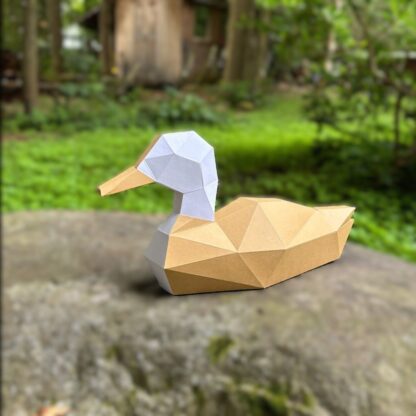 3D Eenden Familie - Afbeelding 5
